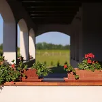 Csaronda Vendegház 4*