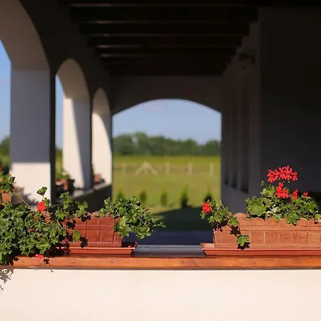 Csaronda Vendeghaz 4*